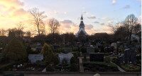 Friedhof